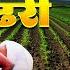 Majhi Sheti He Pandhari Shri Vitthal Bhaktigeet Video Song Sumeet Music