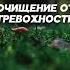 Медитация Очищение от Тревожности отрывок