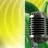 Cho Ka Ka O I Am Your Gummy Bear AUDIO TRACK