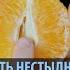 Пять нестыдных вопросов про секс