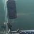 Red Tail Cat Fish And Arowana Fish