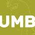 Rumba Drum Metronome Loop 100 BPM