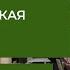 ЯПОНСКАЯ КУХНЯ японцы пробуют еду от русских шефов Кулинарная битва Вокруг Вкуса