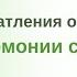 Отзыв о курсе В Гармонии с едой