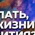 В чем смысл жизни Секреты развития и жизнь мечты