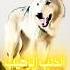 حوار مع الذئب الرهيب