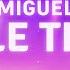 Miguel Simple Things Lyrics