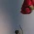 You Had A Dream About Being With Your Comfort Character A Playlist Rain Slowed