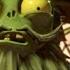PvZ Garden Warfare 2 ALL PIRATE Missions Walkthrough CRAAZZY STORY MODE