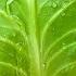 Cabbage Tastes Better Than Meat Why Didn T I Know About This Cabbage Recipe Cabbage With Potatoes A