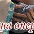 ЛИАМУ НУЖНА ОПЕРАЦИЯ Что делать РЕБОРН ЗАБОЛЕЛ