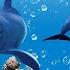 Deeply Relaxing Underwater Sounds 12 Hours Deep Ocean Sounds Sleep Relax Study Meditation