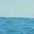 Le Point Où Se Retrouvent L Océan Atlantique Et L Océan Pacifique Ils Se Touchent Mais Ils Ne Se Mé