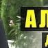 АЛИЧОН ДУСТОВ ТОЧИКИСТОНИ БАЗЕБАМ 2021 ALIJON DUSTOV