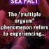 The Multiple Orgasm Phenomenon Refers To Experiencing Multiple Orgasms In A Facts Sex Orgasm