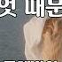 무엇 때문에 물레방아 노래 백영규 작사 백영규 작곡 1곡 재생 7080가요산책