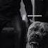 DMX Explains Why He Trusts Dogs More Than People It Started With Stolen Pitbull Revolt