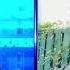 Panchkula Mass Suicide Case 7 Family Members Found Dead In Car Suicide Note Recovered
