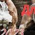 Музыка для пацанов Музыкальный сборник для пацанов русский рэп 2023