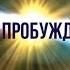 501 ПЕРЕЗАПУСКИ МАТРИЦЫ ГЕНИЙ СУМАСШЕСТВИЯ регрессивный гипноз Валентины К