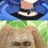 нет мем мемы нет