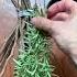 Crafting A Witch Broom Witchcraft