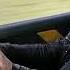British Sports Cars CHALLENGE Top Gear