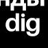 Утилиты DNS Host и Dig Компьютерные сети 2025 23