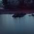 HD Земля Биография планеты Познавательный фильм National Geographic