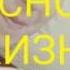 КЫЗЫНЫЗЫ БЕРИН АПА