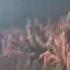 Bring Me The Horizon Antivist Live 01 11 2016 Bournemouth UK Tour