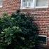 HURRY 1 Bedroom Apartment Available In Lovely Yeadon Lansdowne PA With One Car Garage Included