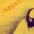 Terry Riley Persian Surgery Dervishes