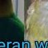 Masteran Tengkek Buto Vs Cililin Vs Cucak Jenggot Vs Lovebird Masteran Wajib Burung Juara