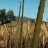 PLAYERUNKNOWN S BATTLEGROUNDS Death Shot With GeForce