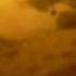 Underwater Carp With The Water Wolf Camera