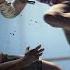 НАРЕЗКА ПОД МУЗЫКУ Free Fire