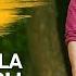 AlaVaikunthapurramuloo Sittharala Sirapadu Lyrical Allu Arjun Trivikram Thaman S AA19