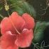 YT70P DecoupageTutorial FolkArt 蝶古巴特 Painting Hibiscus Step By Step Part 1 木槿彩繪步驟教學視頻 上