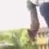 Murder Dem Yung Mulo Official HD 2014