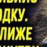 Рыбак увидел как к берегу прибило старую лодку Подойдя ближе и заглянув внутрь он увидел там
