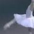 Olesya Novikova Raymonda Dream Scene Act 1
