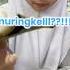 VLOG PENELITIAN FOLIUM SYAKIRAN HUNAFA