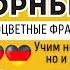 НЕМЕЦКИЙ ЯЗЫК РАЗГОВОРНЫЙ СЛУШАТЬ 2 ЧАСА 240 ЦВЕТНЫХ ФРАЗ
