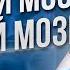 Твои Мозги Твоё Богатство Мышление Миллионера 16