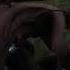 Red Dead 2 Music Video Mischa Book Chillak Feat Esthero Ready Or Not