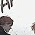 Lost In The Cloud Are We Too Young For This Bl Edit