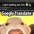 Google Translate Is Too Nice
