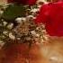 Bernward Koch Touched By Love