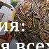 Искусственное оплодотворение во Франции открыт доступ всем женщинам